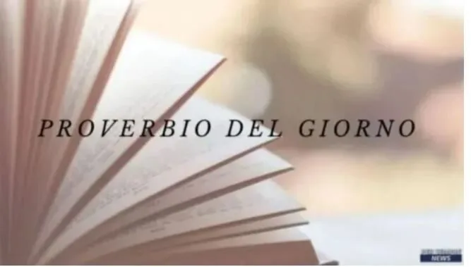 Proverbio del giorno
