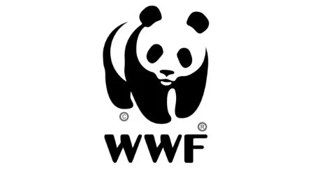 Sessantanove anni di Panda: un battito di ciglia salva una foresta